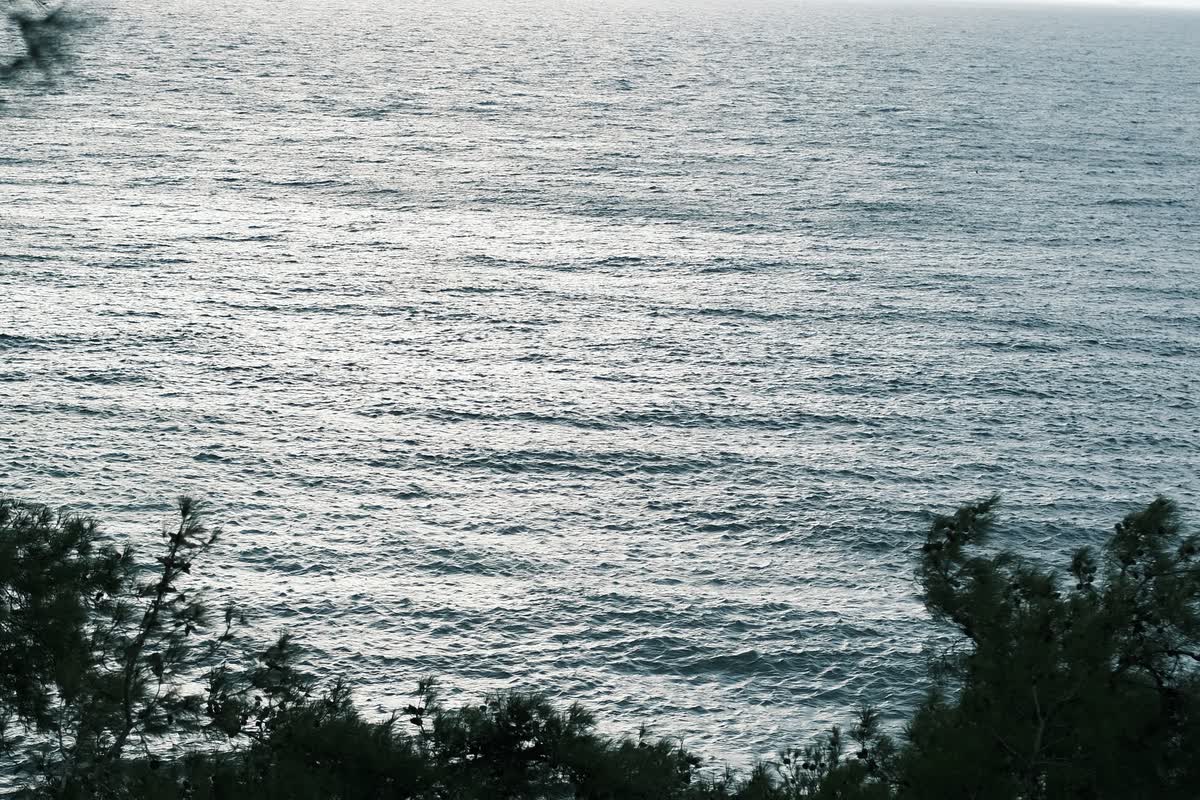 Havet mellan tallarna vid viken